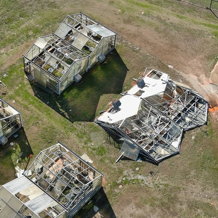 January tornadoes damage barns, kill livestock